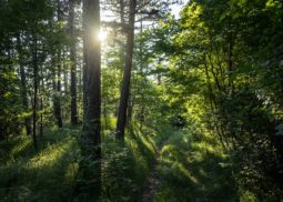 Environmental Protection and Mangement Malaysia