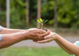 Green Bond Services KL, Green Bond Services Malaysia