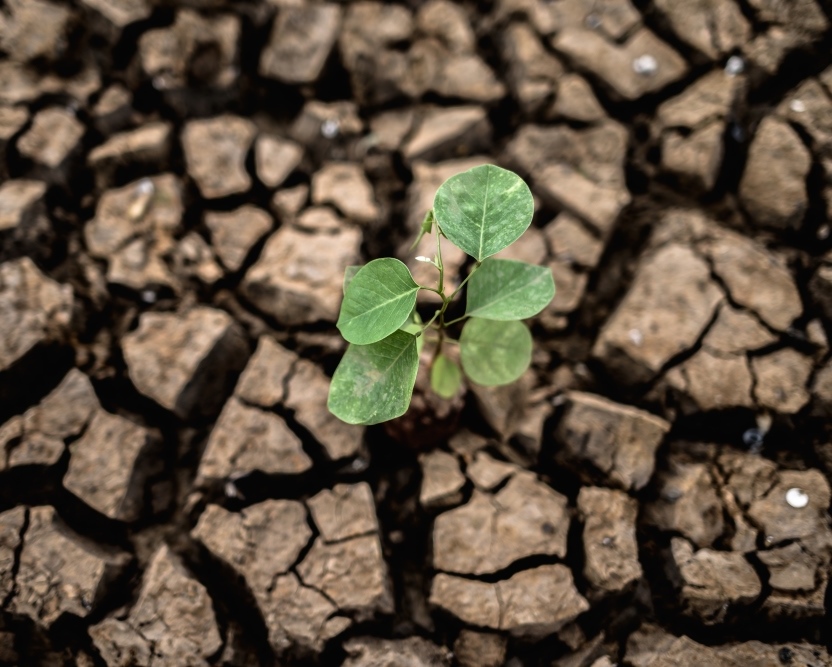 ESG and Sustainable Finance in Kuala Lumpur, ESG and Sustainable Finance in Malaysia