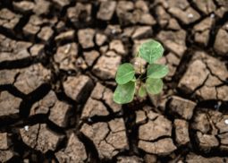 Environmental Protection and Mangement Malaysia